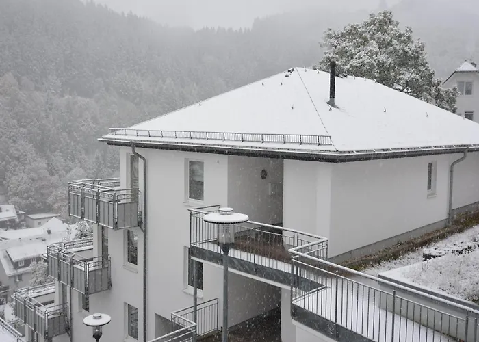 Magnificent Apartment In Willingen With Balcony